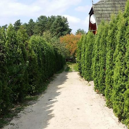 Wyspa Kampinos Brochow Экстерьер фото