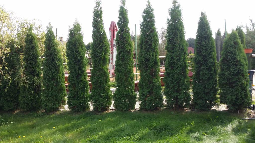 Wyspa Kampinos Brochow Экстерьер фото
